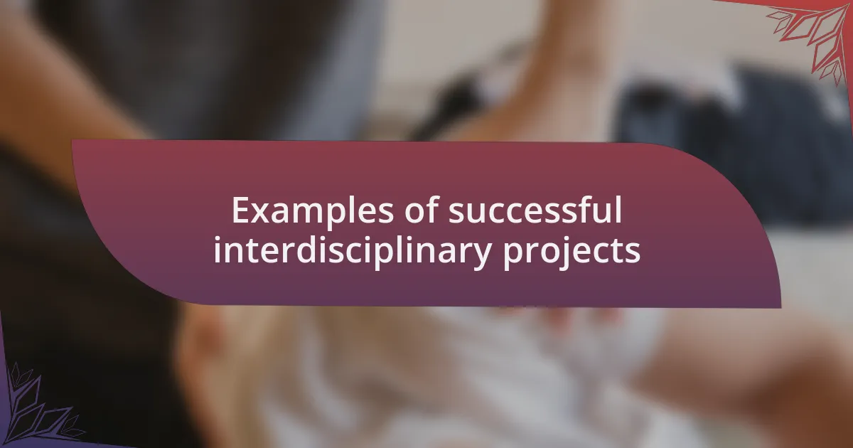 Examples of successful interdisciplinary projects